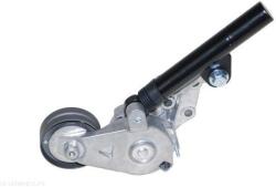 AUTOMEGA Napínacie rameno rebrovaného klinového remeňa AUTOMEGA 160064610 (160064610)