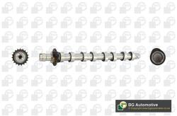 BGA Vačkový hriadeľ BGA CS5531 (CS5531)