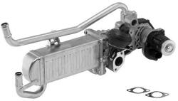 BorgWarner AGR - Modul BorgWarner 710863D (710863D)