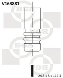 BGA Zawor Wydechowy (v163881)