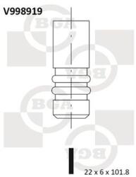 BGA Zawor Wydechowy (v998919)