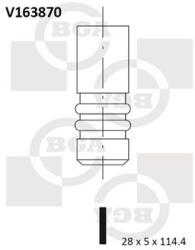 BGA Sací ventil BGA V163870 (V163870)