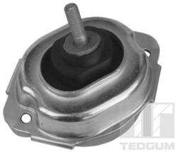 TEDGUM Uloženie, motor TEDGUM 00088547 (00088547)