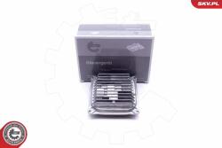 ESEN SKV Riadiaca jednotka osvetlenia ESEN SKV 59SKV055 (59SKV055)