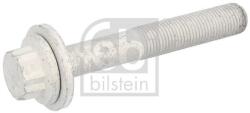 Febi Bilstein Skrutka remenice FEBI BILSTEIN 32025 (32025)