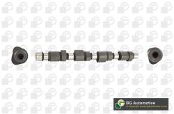 BGA Vačkový hriadeľ BGA CS6331 (CS6331)