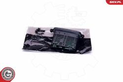 ESEN SKV Riadiaca jednotka osvetlenia ESEN SKV 96SKV070 (96SKV070)