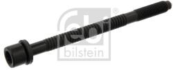 Febi Bilstein Skrutka hlavy valcov FEBI BILSTEIN 02120 (02120)