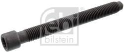 Febi Bilstein Skrutka hlavy valcov FEBI BILSTEIN 18146 (18146)