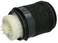 ASHIKA Mech pneumatického pruženia, vzduchové pruženie ASHIKA MA-AS046 (MA-AS046)