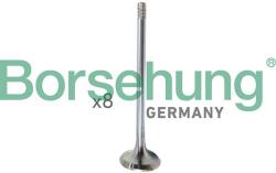 Borsehung Sací ventil Borsehung B10322 (B10322)