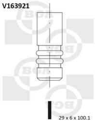 BGA Zawor Wydechowy (v163921)