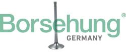 Borsehung Sací ventil Borsehung B19026 (B19026)