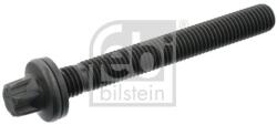 Febi Bilstein Skrutka hlavy valcov FEBI BILSTEIN 19948 (19948)