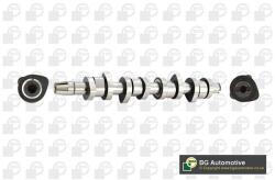 BGA Vačkový hriadeľ BGA CS9503 (CS9503)