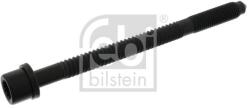 Febi Bilstein Skrutka hlavy valcov FEBI BILSTEIN 01836 (01836)