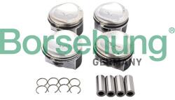 Borsehung Piest Borsehung B13582 (B13582)