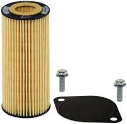 Hengst Filter Hydraulický filter automatickej prevodovky HENGST FILTER E28H D175 (E28H D175)