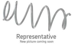 SKF Pružina podvozku SKF VKDL 31604 (VKDL 31604)