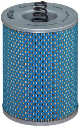 Hengst Filter Olejový filter HENGST FILTER E174H D11 (E174H D11)