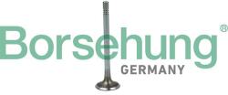 Borsehung Sací ventil Borsehung B19020 (B19020)