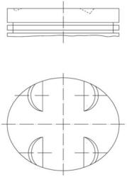 MAHLE Piest MAHLE 005 24 01 (005 24 01)