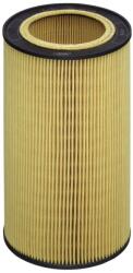 Hengst Filter Olejový filter HENGST FILTER E43H D213 (E43H D213)