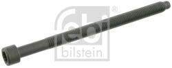 Febi Bilstein Skrutka hlavy valcov FEBI BILSTEIN 26420 (26420)