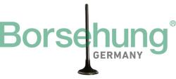 Borsehung Sací ventil Borsehung B10334 (B10334)