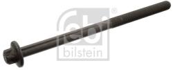Febi Bilstein Skrutka hlavy valcov FEBI BILSTEIN 39779 (39779)
