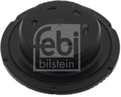 Febi Bilstein Protimrazová poistka FEBI BILSTEIN 49353 (49353)