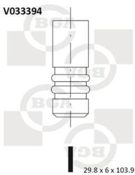 BGA Zawor Wydechowy (v033394)