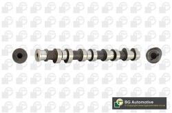 BGA Vačkový hriadeľ BGA CS1453 (CS1453)