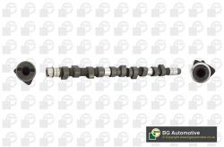 BGA Vačkový hriadeľ BGA CS3381 (CS3381)