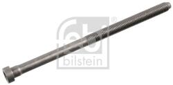 Febi Bilstein Skrutka hlavy valcov FEBI BILSTEIN 103647 (103647)