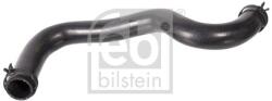 Febi Bilstein Hadica chladenia FEBI BILSTEIN 106210 (106210)