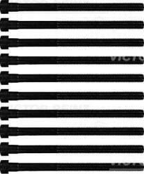 Victor Reinz Sada skrutiek hlavy valcov VICTOR REINZ 14-10213-01 (14-10213-01)