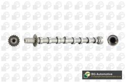 BGA Vačkový hriadeľ BGA CS5524 (CS5524)