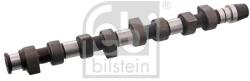 Febi Bilstein Vačkový hriadeľ FEBI BILSTEIN 10009 (10009)