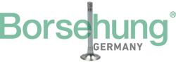 Borsehung Výpustný ventil Borsehung B18999 (B18999)