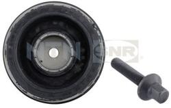 SNR Remenica kľukového hriadeľa SNR DPF350.01K1 (DPF350.01K1)