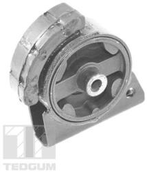 TEDGUM Uloženie, motor TEDGUM 00671816 (00671816)