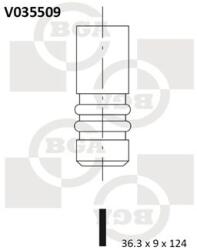 BGA Zawor Wydechowy (v035509)