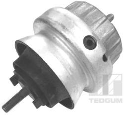 TEDGUM Uloženie, motor TEDGUM 00056444 (00056444)