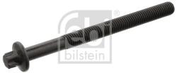 Febi Bilstein Skrutka hlavy valcov FEBI BILSTEIN 19417 (19417)