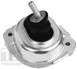 TEDGUM Uloženie, motor TEDGUM 00088531 (00088531)