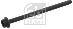 Febi Bilstein Skrutka hlavy valcov FEBI BILSTEIN 184667 (184667)