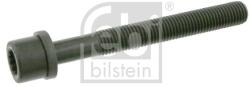 Febi Bilstein Skrutka hlavy valcov FEBI BILSTEIN 06666 (06666)