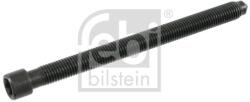 Febi Bilstein Skrutka hlavy valcov FEBI BILSTEIN 21586 (21586)