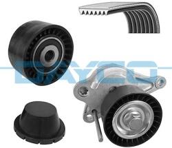 DAYCO Zestaw Paska W/klinowego (kpv217)